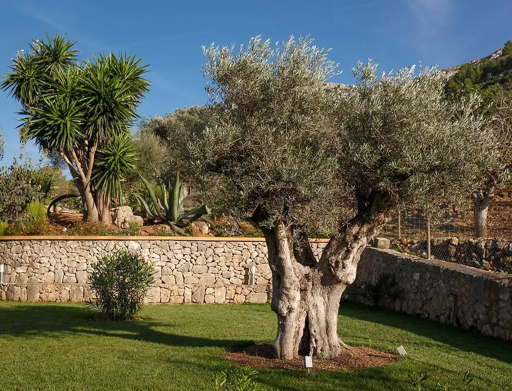 Agroturismo S'Arbocar Sant Llorenc Des Cardassar