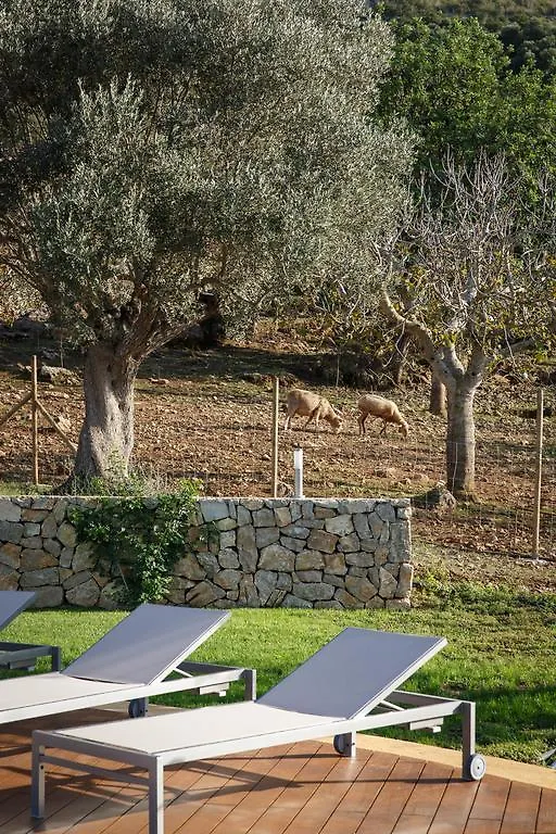 Agroturismo S'Arbocar Sant Llorenc Des Cardassar 0*,