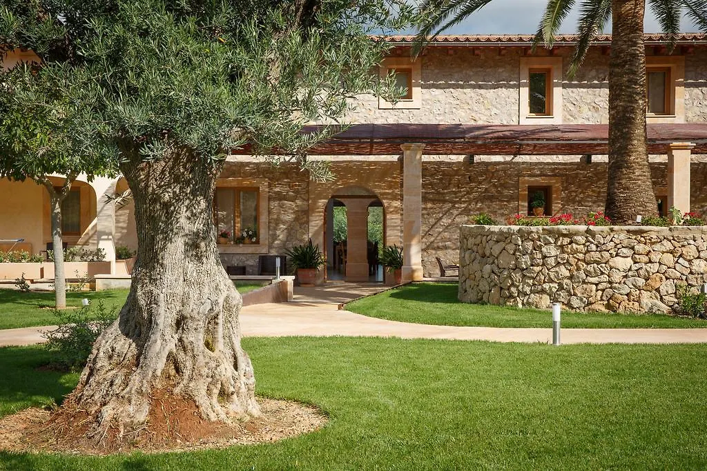 Alloggio per agriturismo Agroturismo S'Arbocar Sant Llorenc Des Cardassar