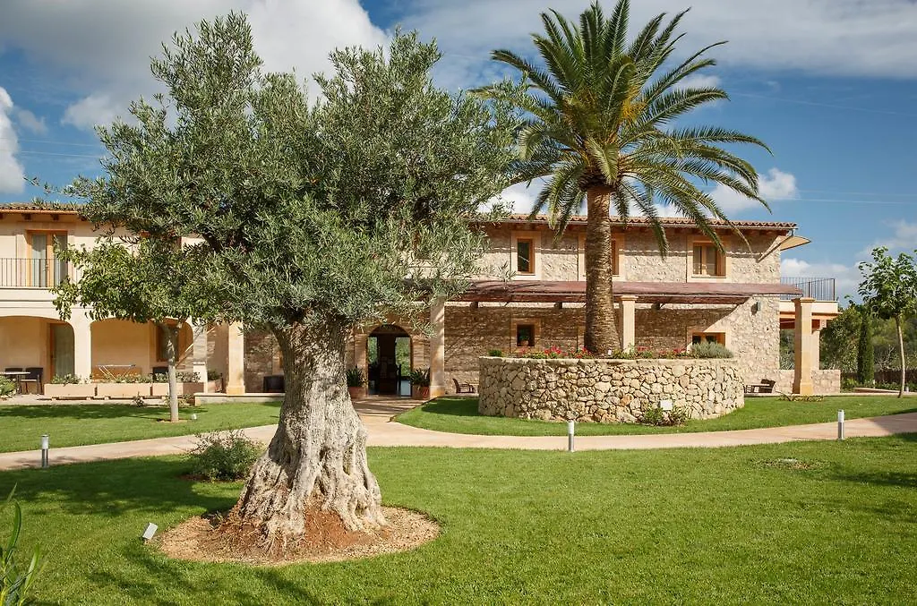 Agroturismo S'Arbocar Sant Llorenc Des Cardassar Spagna
