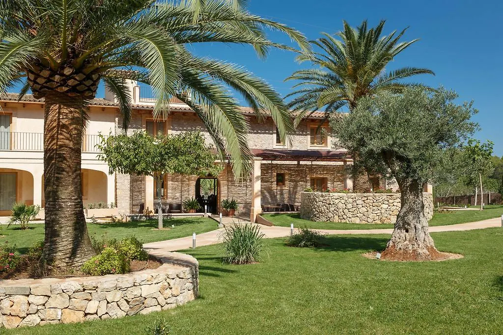 Alloggio per agriturismo Agroturismo S'Arbocar Sant Llorenc Des Cardassar Spagna